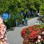 Nordnes Brygge Lägenhet *