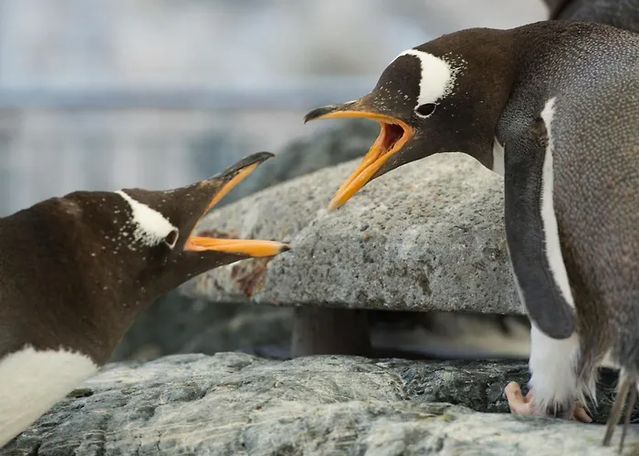 Nordnes Brygge * 베르겐